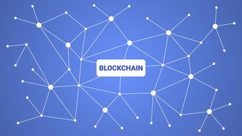 爱游戏体育app-英超青训引入虚拟现实技术强化战术理解，英超青训最好的球队