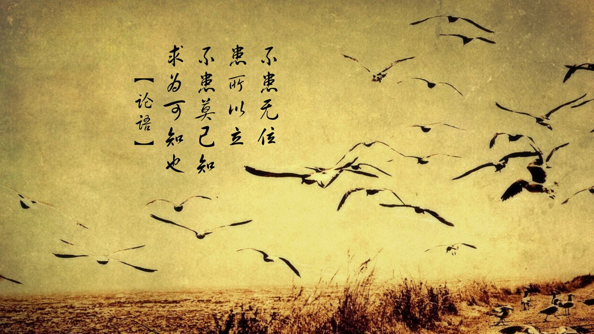 美洲杯明星快闪：每一脚都令人叹为观止！，美洲杯歌曲