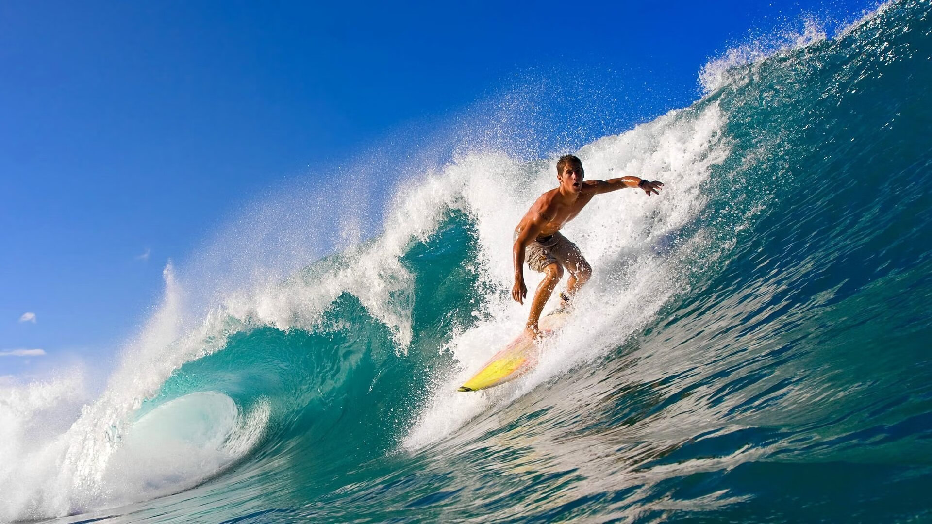 花样轮滑全明星盛典，青春在轮回中飞扬，花样轮滑奥运冠军